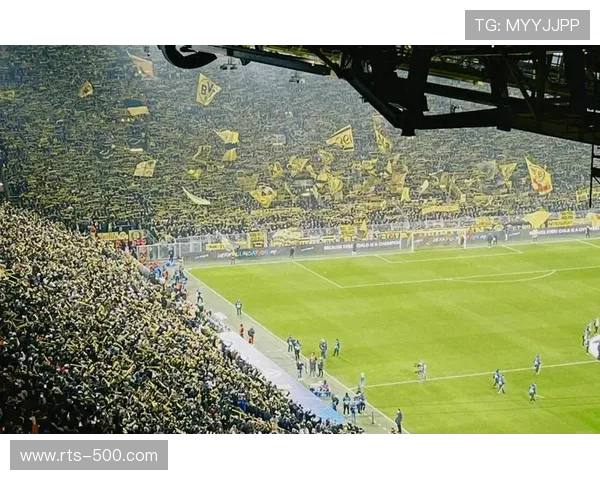 球迷王锦程：龙潭中湖球场免费开放，环境氛围吸引跨区体验