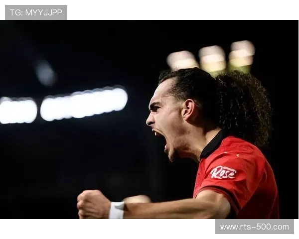 非洲裔球员在法甲的数量与作用，法国殖民历史的影响